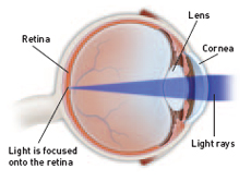 How eye works